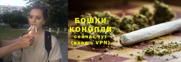 apvp Богородск