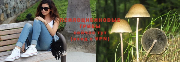 apvp Богородск